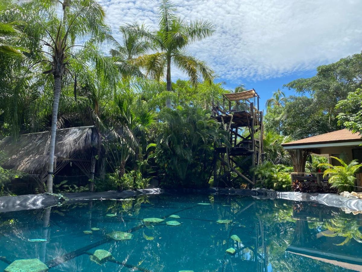 Jardín Secreto Centro Holístico Villa Acapulco Exterior foto