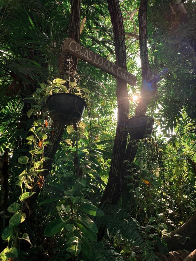 Jardín Secreto Centro Holístico Villa Acapulco Exterior foto