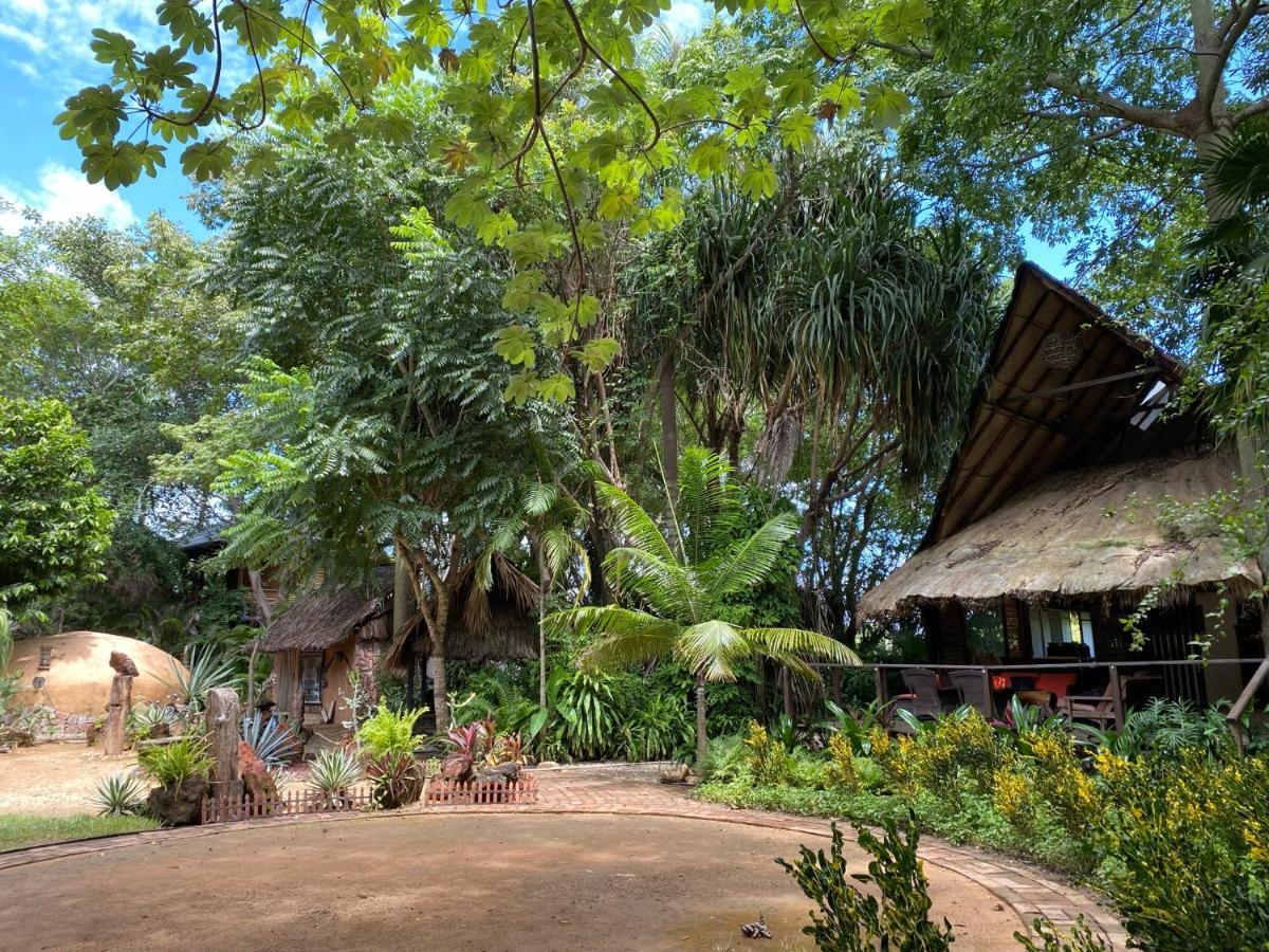 Jardín Secreto Centro Holístico Villa Acapulco Exterior foto