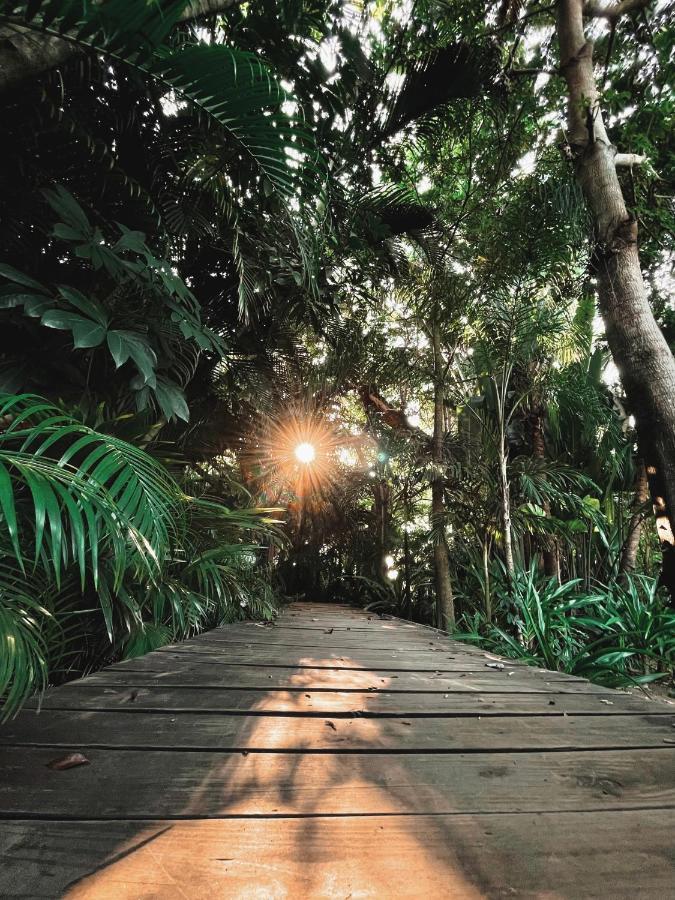 Jardín Secreto Centro Holístico Villa Acapulco Exterior foto