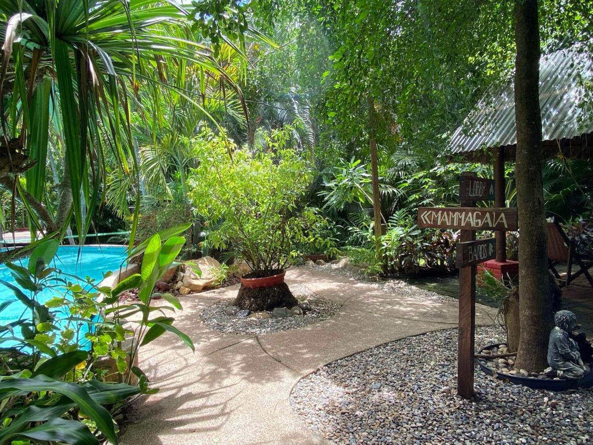 Jardín Secreto Centro Holístico Villa Acapulco Exterior foto