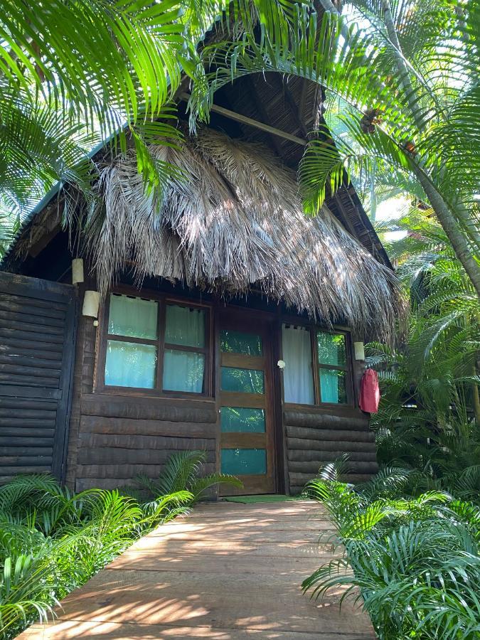Jardín Secreto Centro Holístico Villa Acapulco Exterior foto